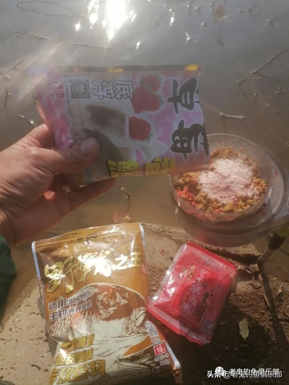 野战之王巨物冬钓鲫鲤如何搭配,野钓之王巨物版能钓鲫鱼吗