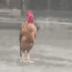 win7纪念版,win7淘汰了吗