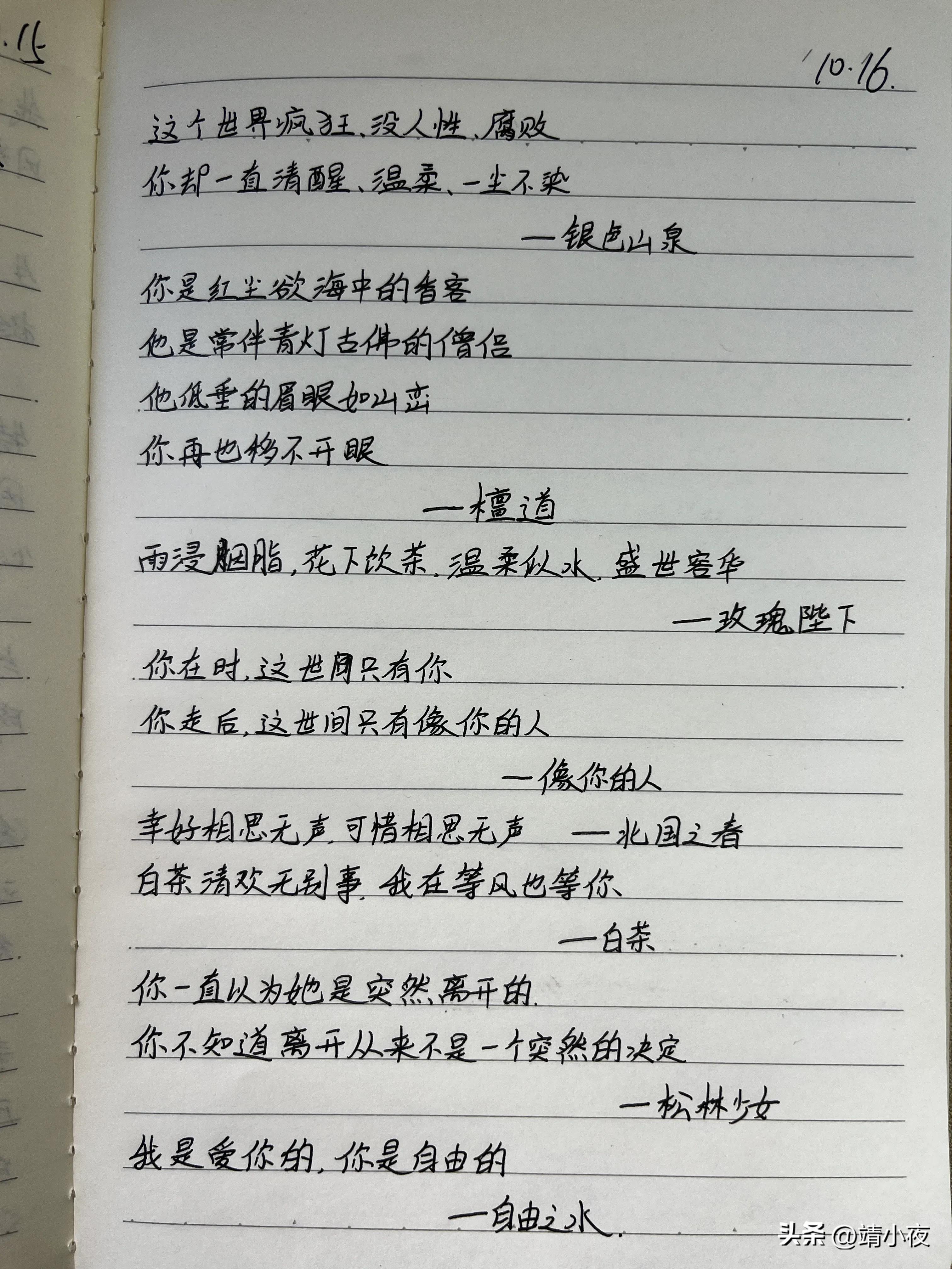 成长记录平台,今日成长感悟总结