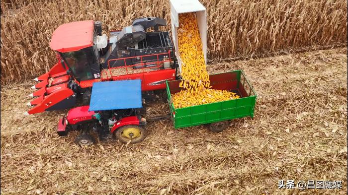 辽宁昌图：全力做好农业文章确保三年行动首战告捷