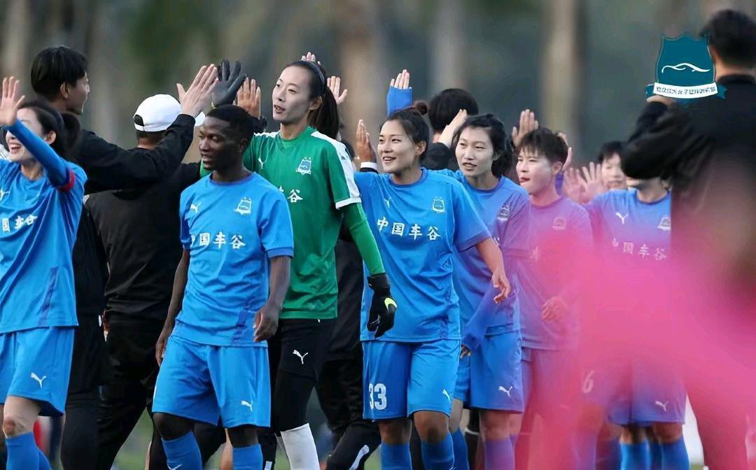 女足武汉胜江苏首夺女超联赛冠军,中国女超联赛江苏女足