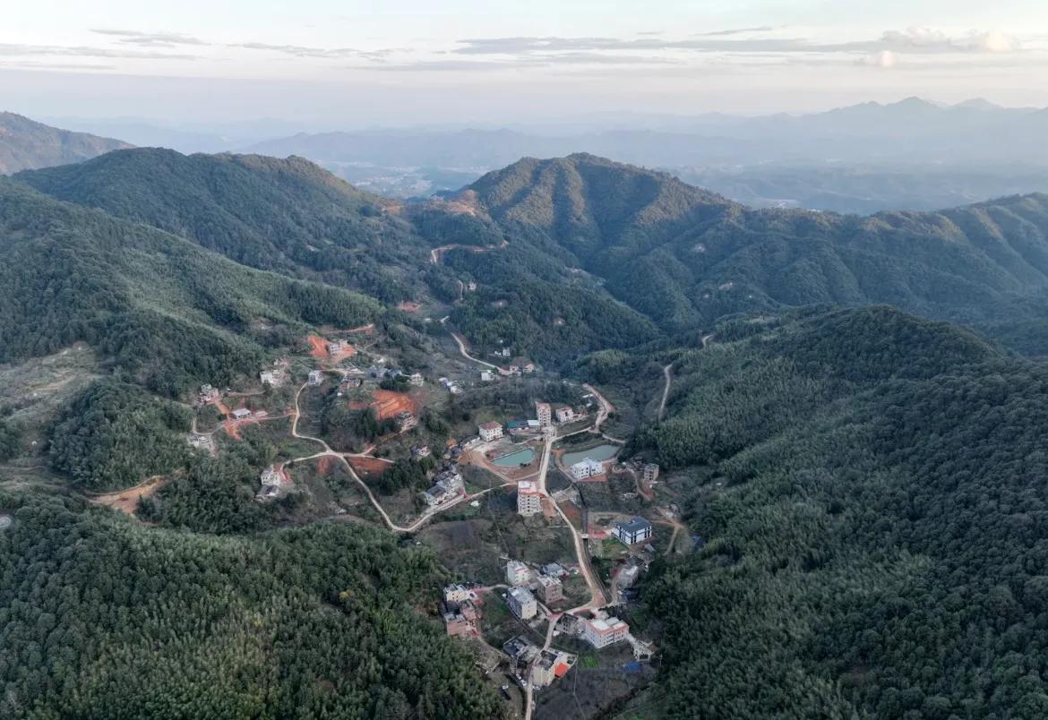 散养鸡的快乐生活,我的养鸡生活29天完整版