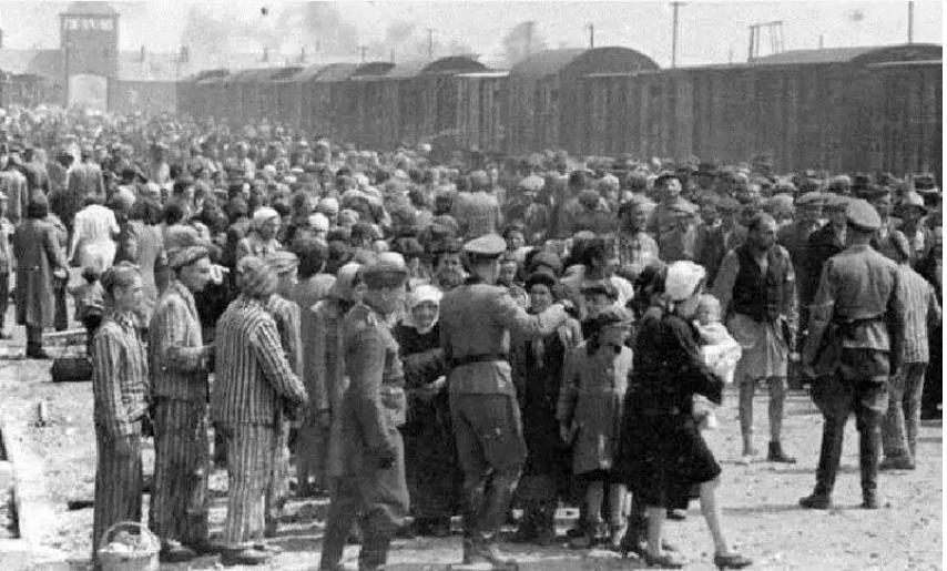 二战时期德国人为什么仇杀犹太人,二战时期的犹太人为什么不反抗