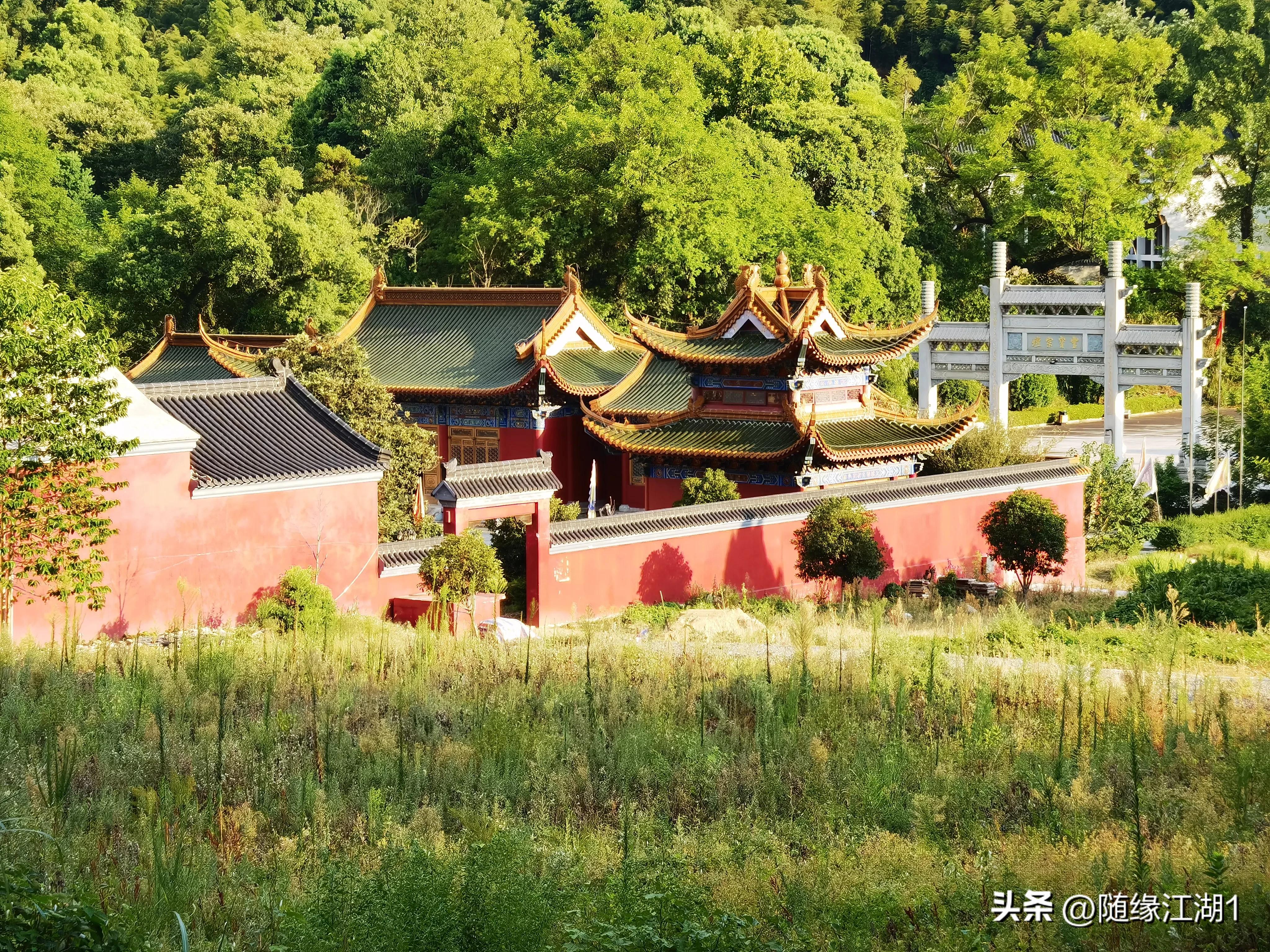 你所不知道的中草药,你不知道的国药秘密