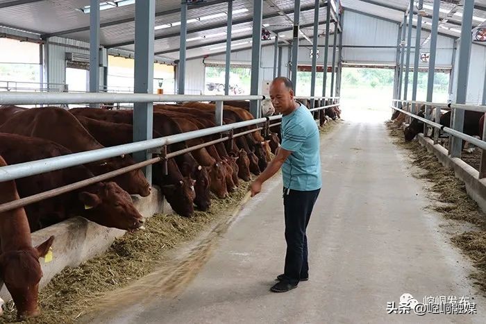 “我们这十年”丨崆峒：“畜”势勃发“牧”歌欢唱