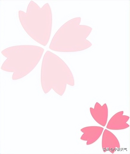 浪漫樱花雨宁波,宁波春天的樱花