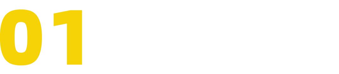 patagonia的总裁,patagonia设计师