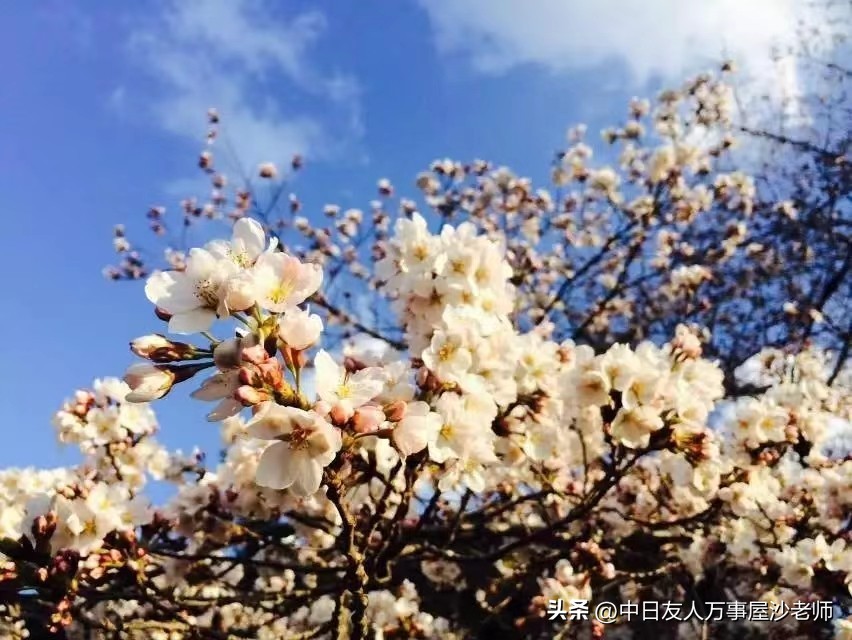 在日本留学打工累吗,在日本留学打工都干什么