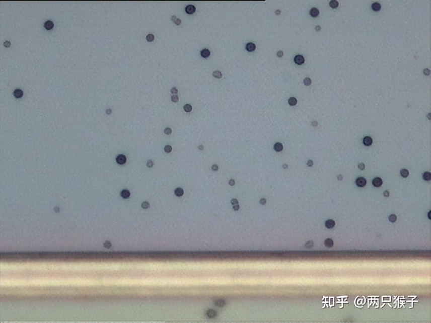 半导体Defect介绍,半导体fab优劣势