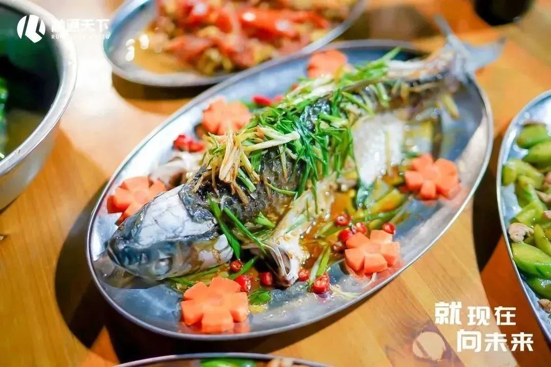 就现在向未来歌词,就现在向未来看齐