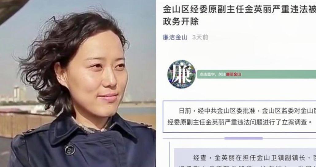 “80后美贪”金英丽：广交男友狂敛500多万，被捕后狡辩男友送的