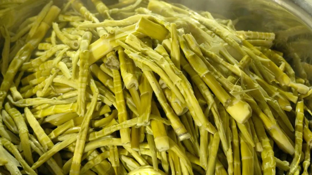 2022杭州伏天几号,2023年杭州什么时候入伏