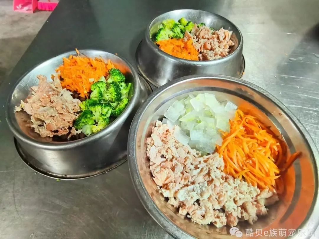 养狗误区123,养狗的误区