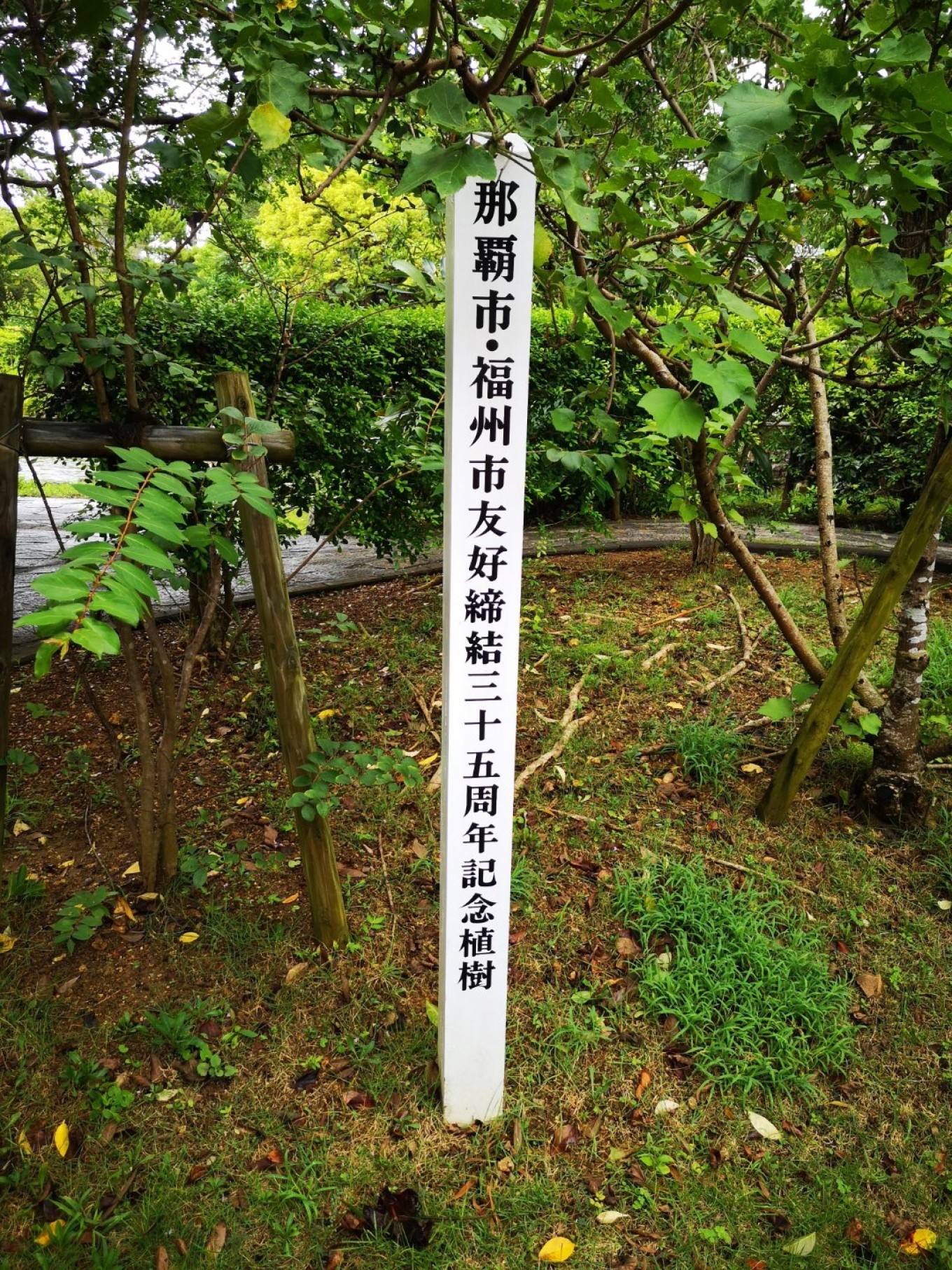 暑期档2019年,2019年暑期档