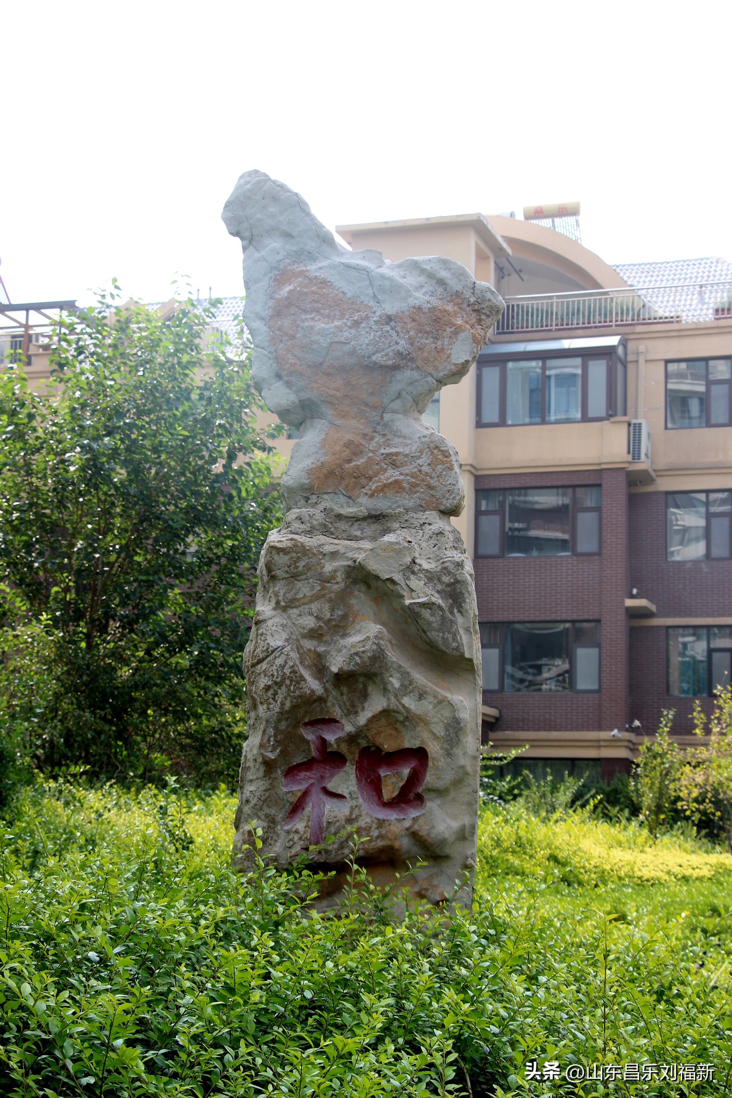 碧水龙庭深圳7栋4单元,顺光风景片拍摄