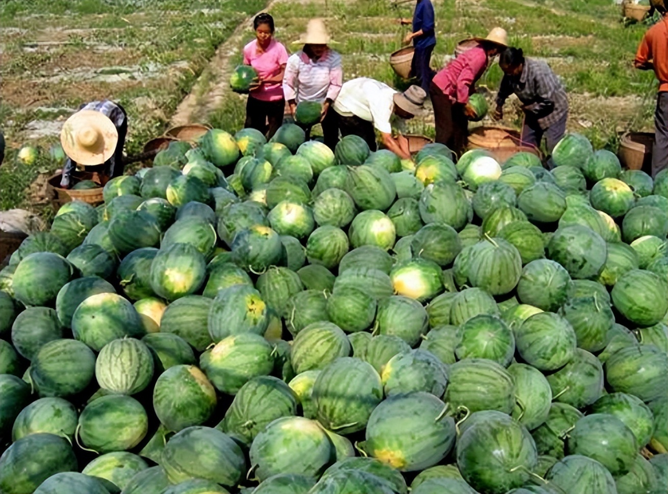 贵州村超掀起夏日足球热浪,贵州村超足球之夜来袭