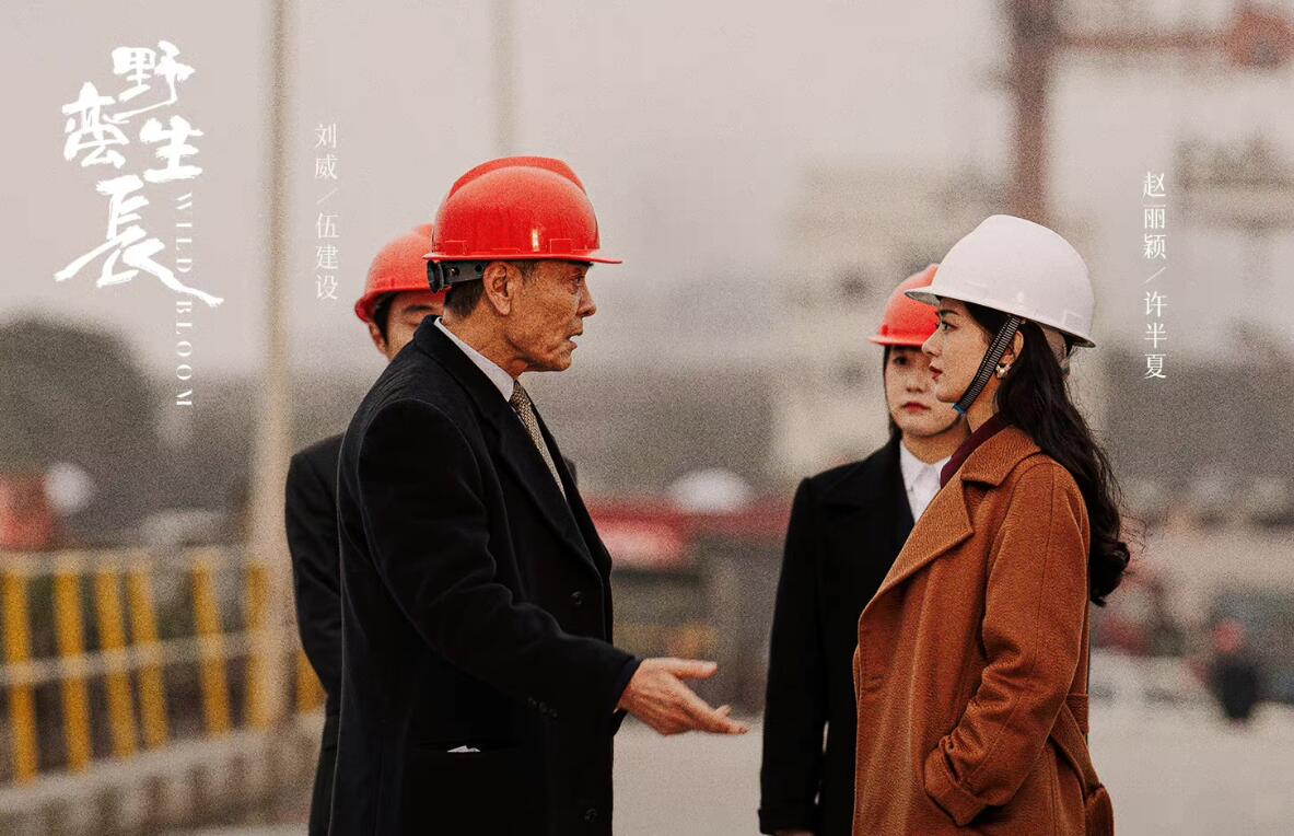 花开半夏实力派演员有哪些人,风吹半夏演员今昔对比盘点