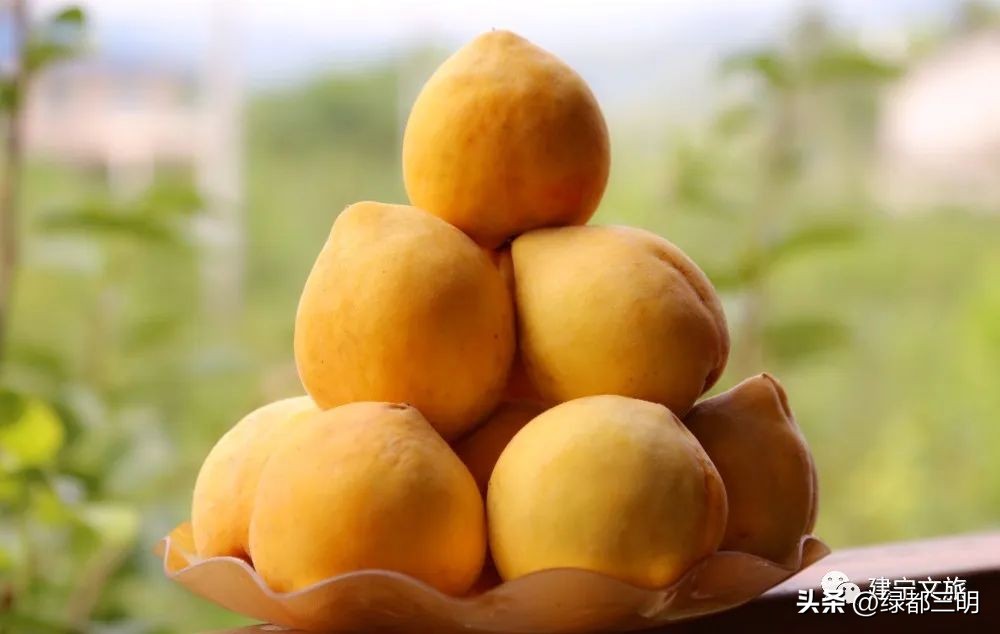 缤纷水果季即将开始！来建宁释放夏日多巴胺
