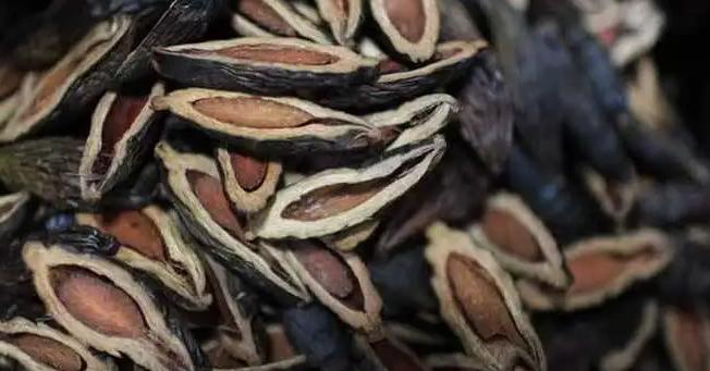 36岁知名歌手纵欲成瘾，去世前直播告诫粉丝：舒服过了头，会要命