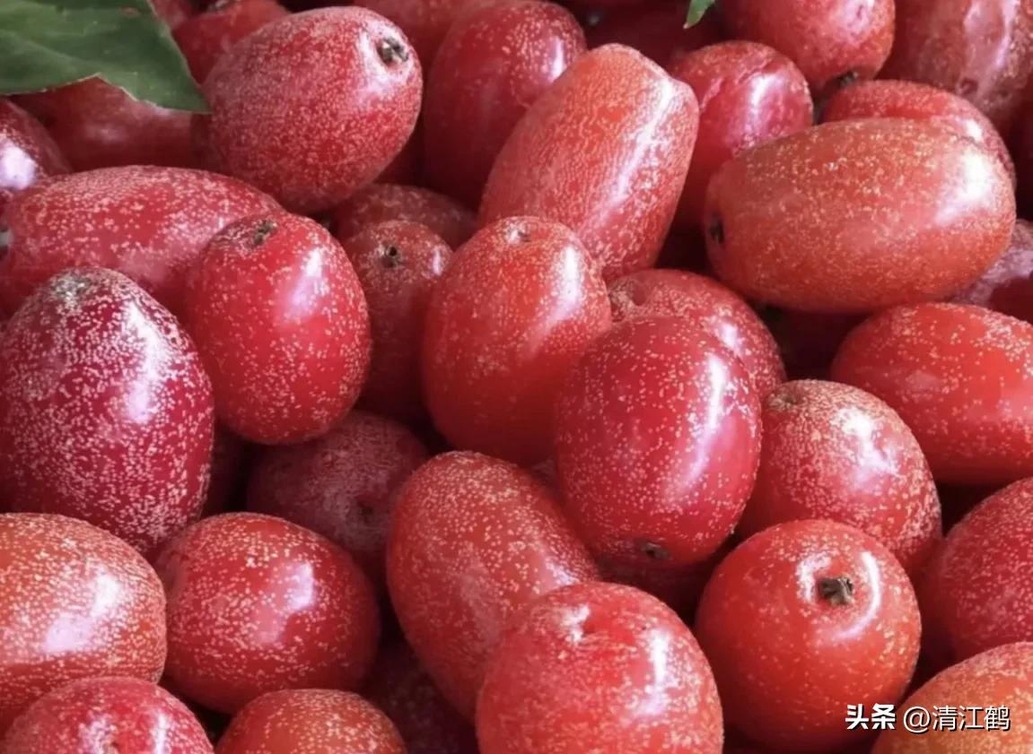 很多人没见过的奇怪生物,都没见过的奇特瓜果蔬菜