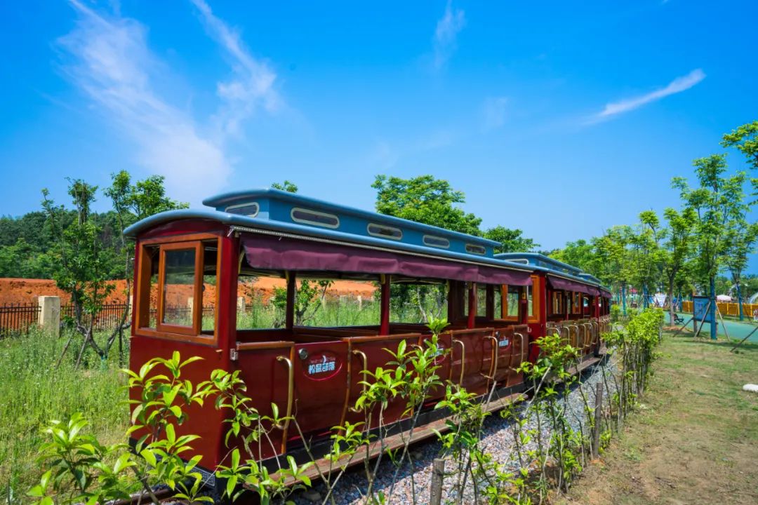 到咸宁看国宝过大年,离家45年的国宝回湖北咸宁过年