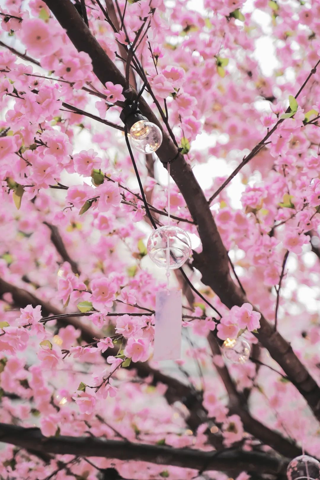 深圳人喜欢逛山姆店,深圳人喜欢逛步行街吗