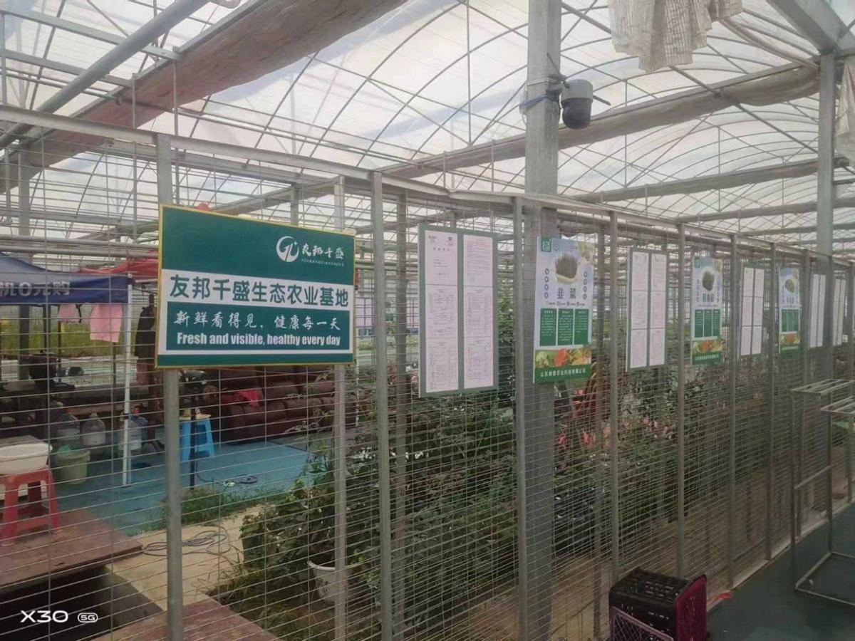 探寻友邦千盛协会商业生态链中的璀璨明珠：有机生态基地