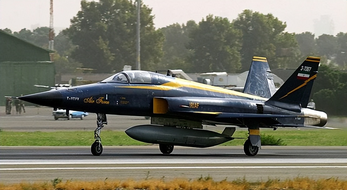 中东土豪国有多强大,中东土豪投资中国航空