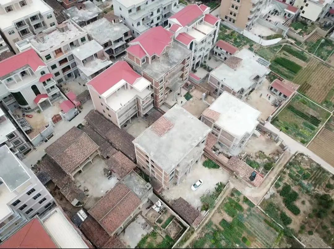 90后剩女50岁相亲,相亲50次还单身怎么办