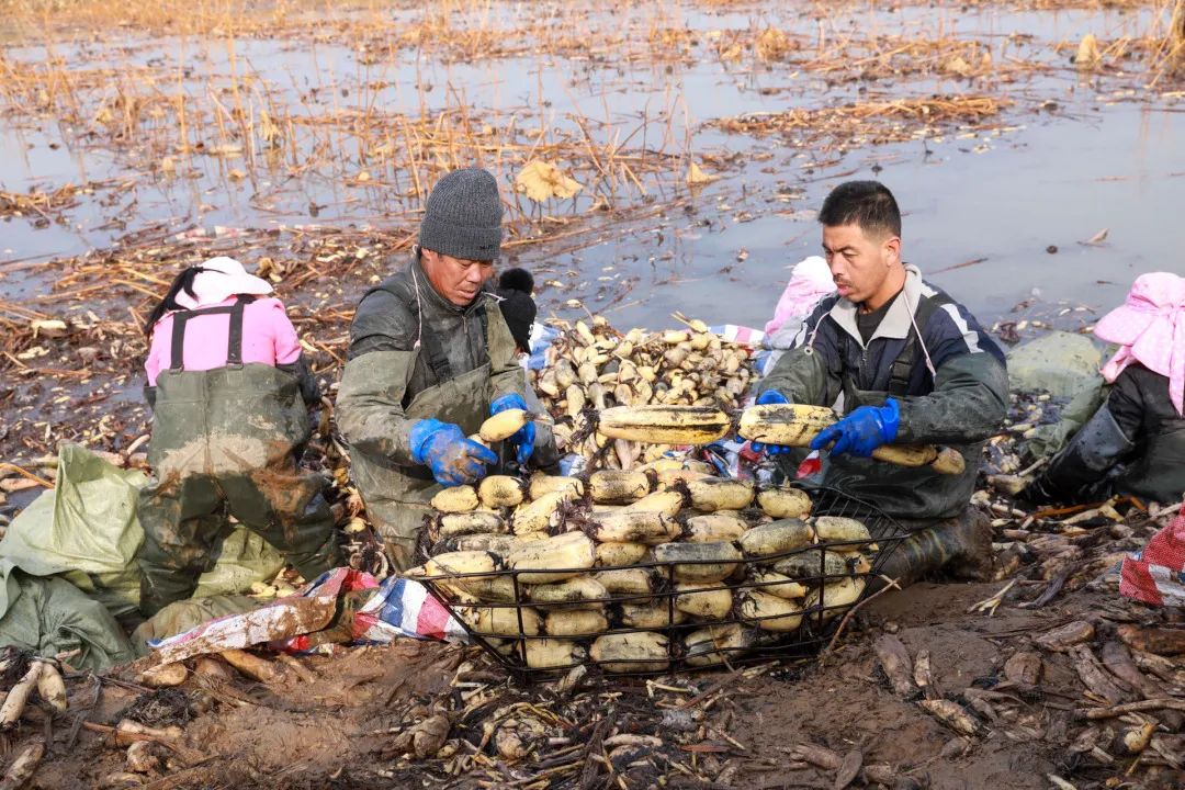 迎接党的20大美术作品,喜迎二十大乡村摄影展