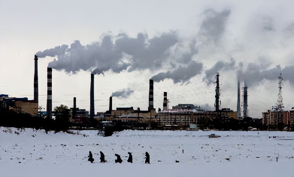 桓台崔守军,崔守军全球能源