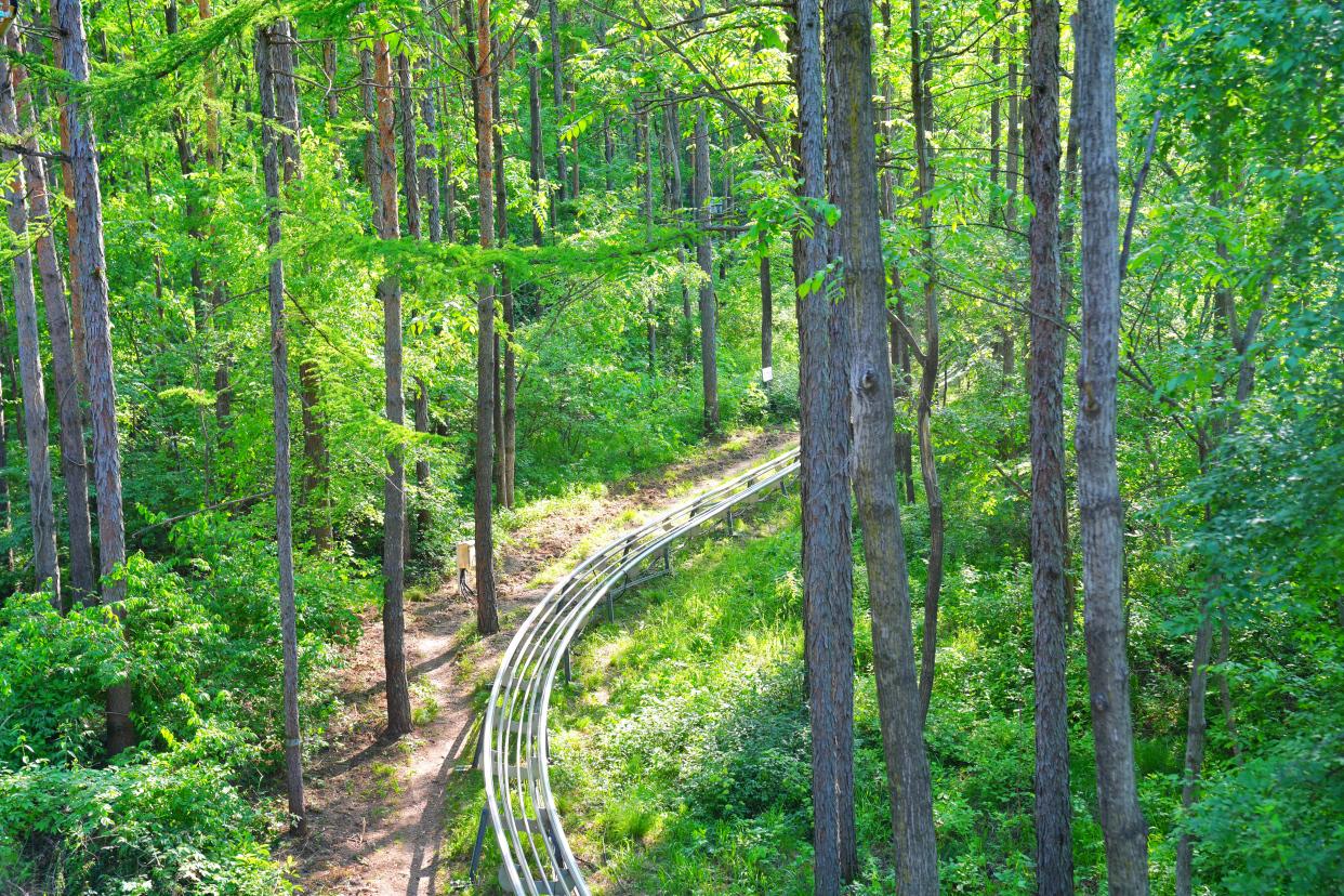 长春文化游,探寻长春的美食景点和文化
