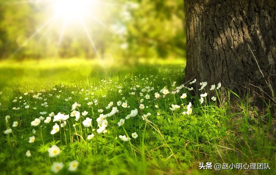 初中成绩退步家长该怎么沟通,孩子上学哭了一个月怎么办