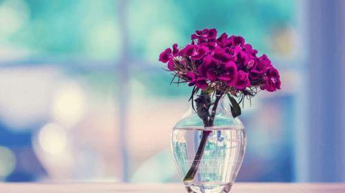 面包夹知识,面包夹心冷知识