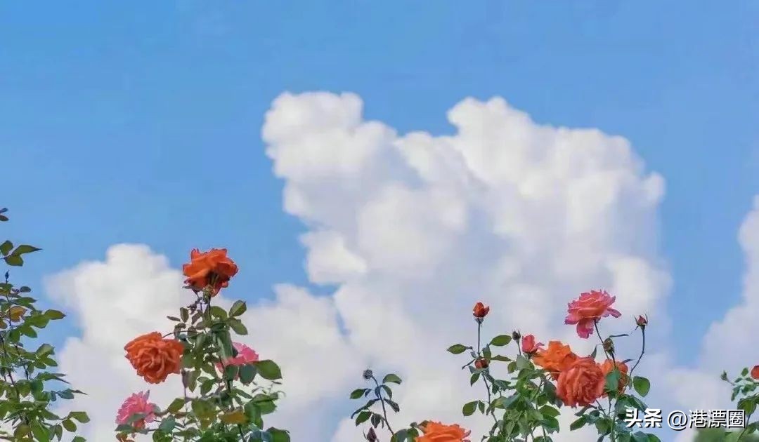 踏遍万水千山饱览各种景观,踏遍美丽的地方