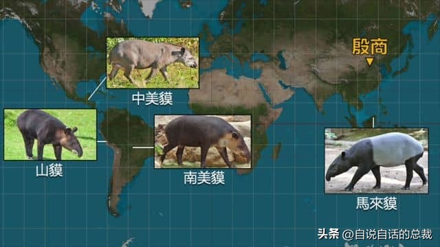 美洲发现中国古文字,美洲发现大银矿