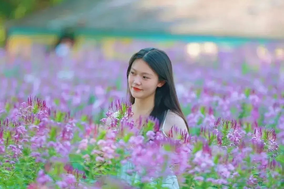 微度假|最美绿水青山线路！被深圳这片乡野田园治愈了