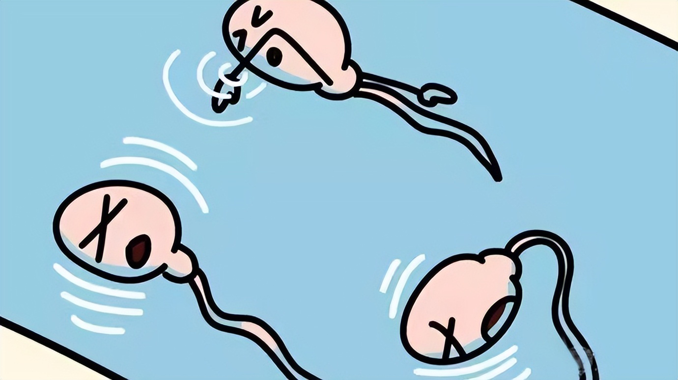 中老年夫妻应怎样生活,人到中年还需要友情吗