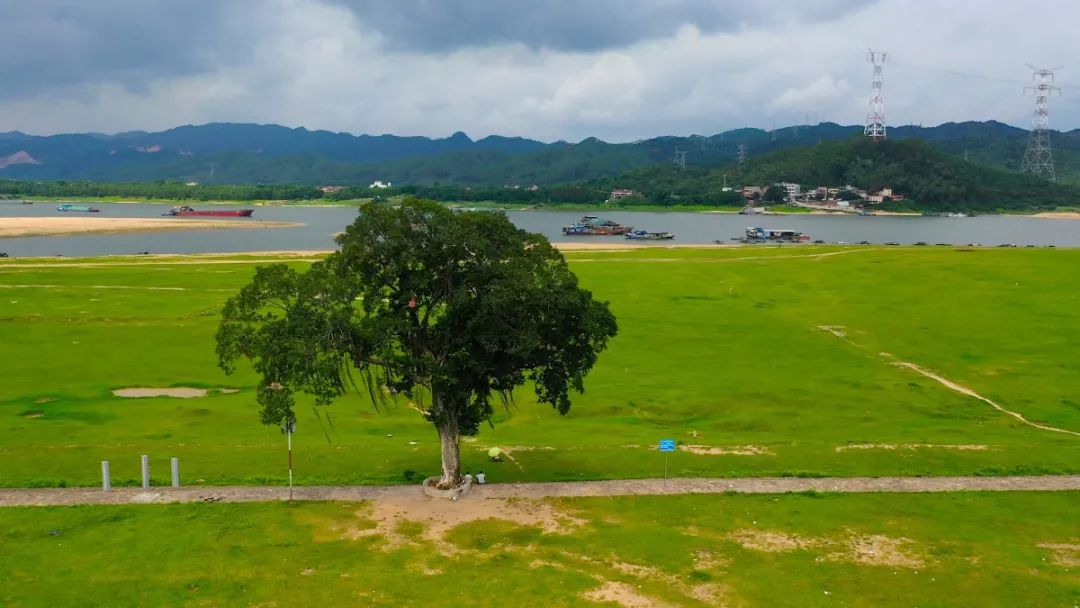 附近旅游攻略国内推荐3到4天,周围免费旅游景点推荐