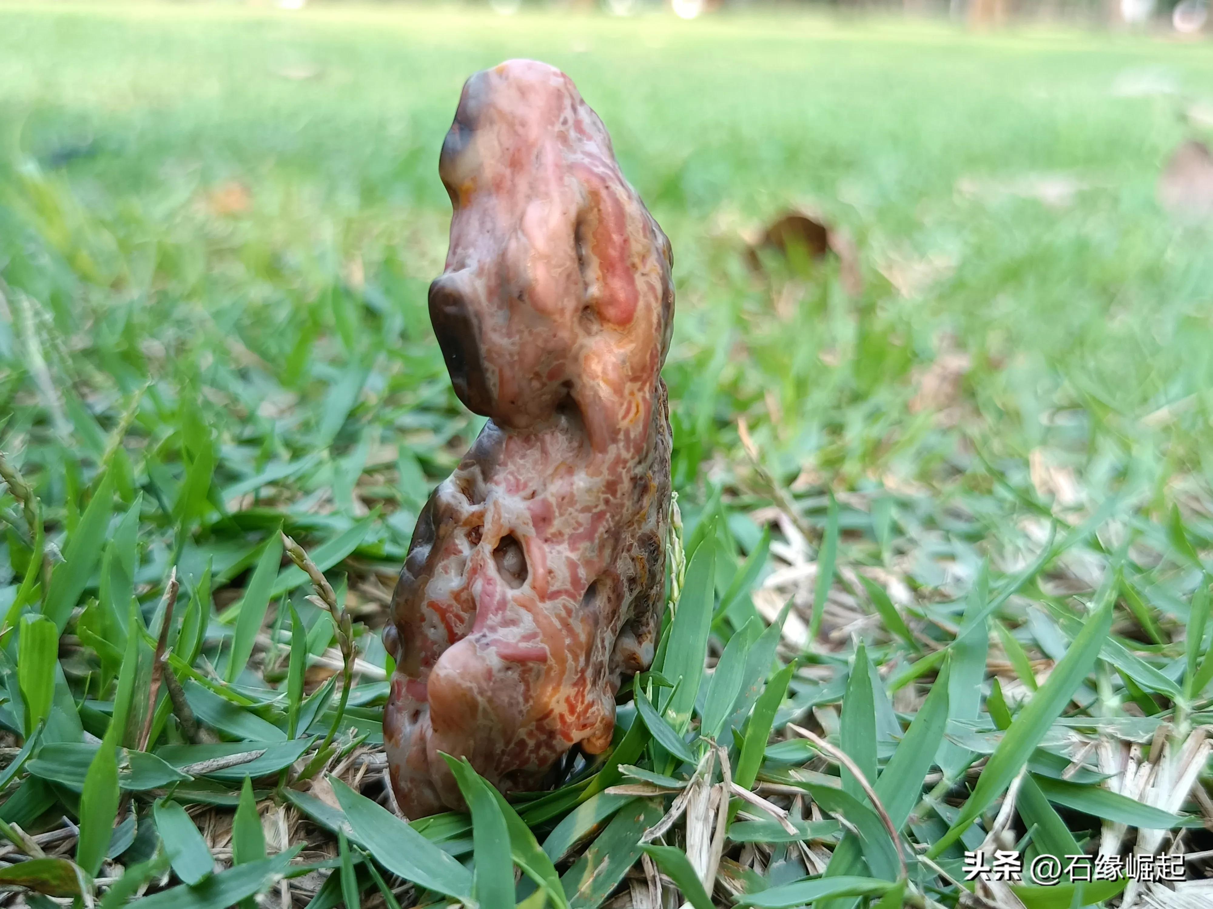 有一种痛只有一个人真正喜欢一块石头的时候，才会感同身受