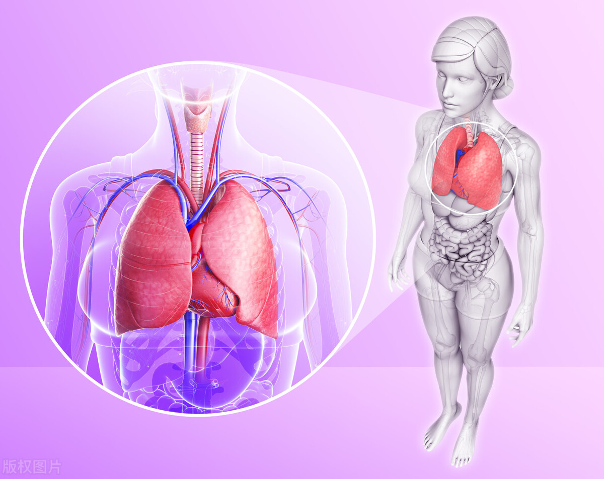 金水六君煎治疗肺气不降医案,金水六君煎加减治疗胸闷气短
