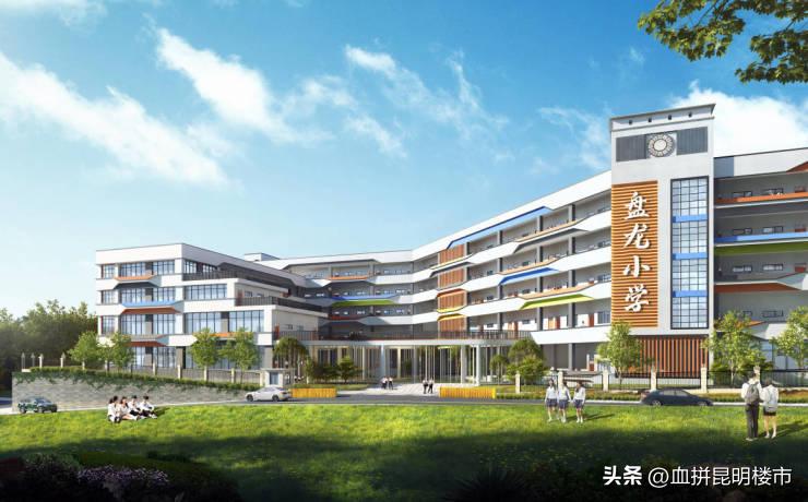 从小学到初中再到高中毕业,从小学到初中高中大学一路走来