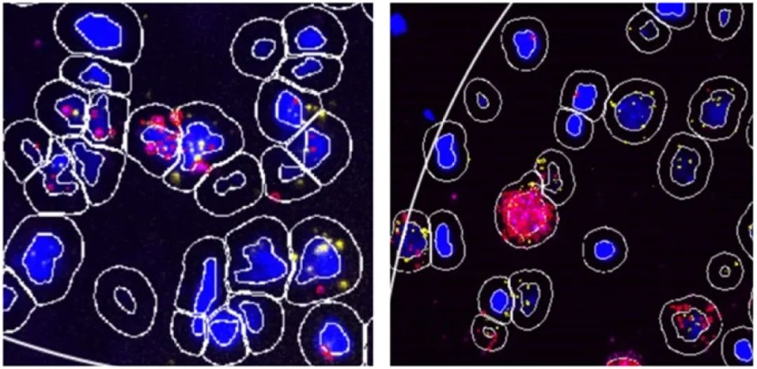 bio-protocol鎬庝箞鍙戣〃,bio-protocol鎺ㄤ粙