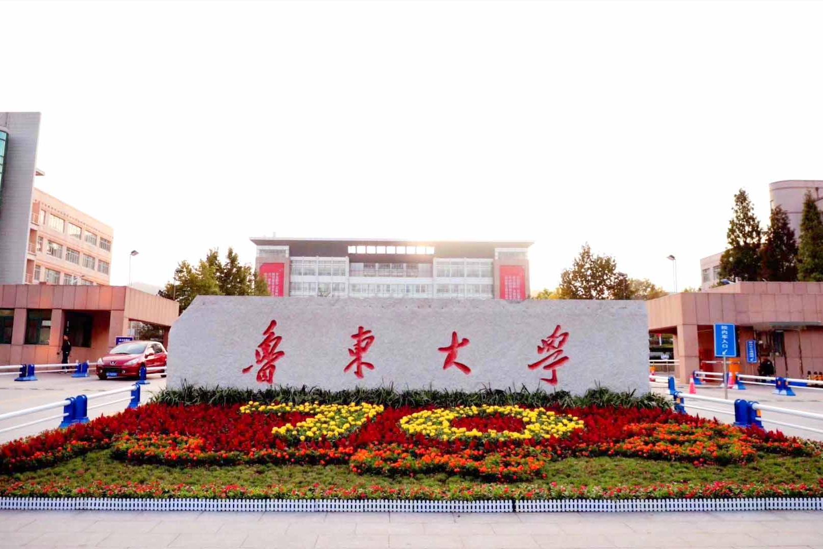 山东省2023艺考专业项目,山东艺术生报考的学校有哪些专业