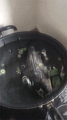 坐高铁遇到旁边老阿姨脱鞋,坐高铁遇到旁边阿姨脱鞋