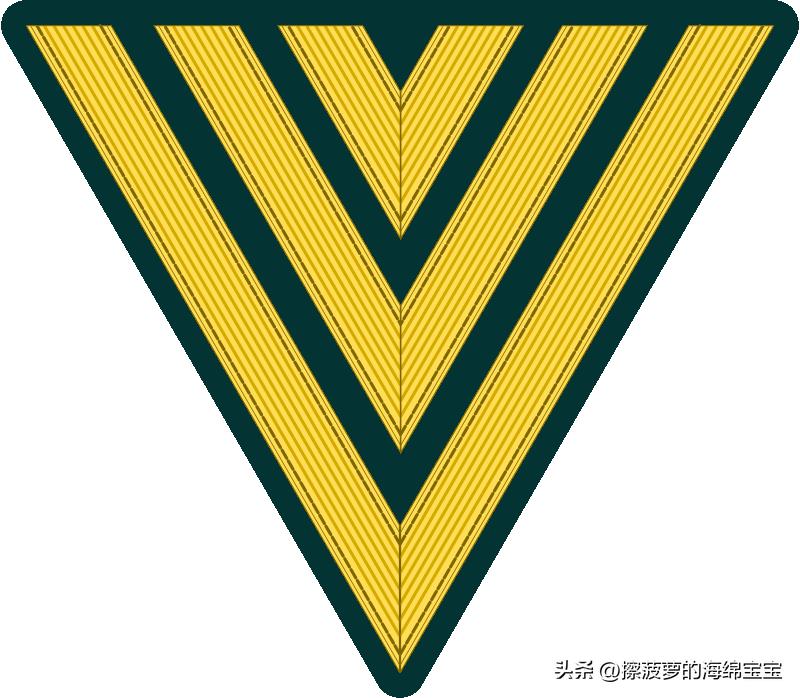 二战德国国防军医疗兵军衔标志