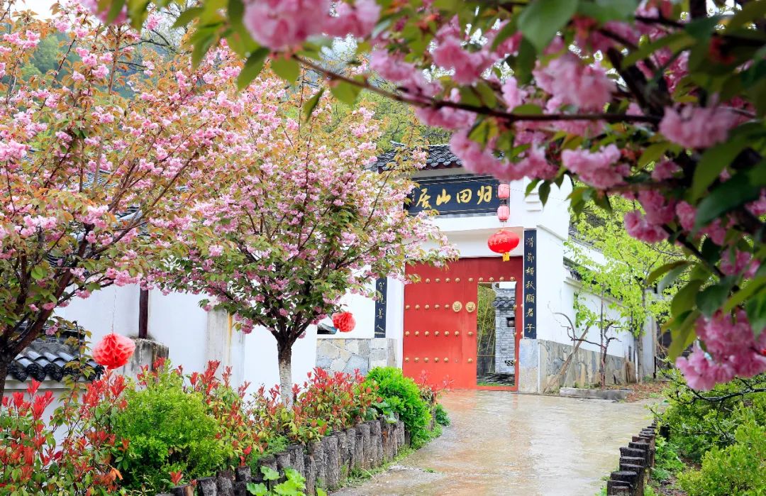 促进全域旅游发展,打造全域旅游发展标杆