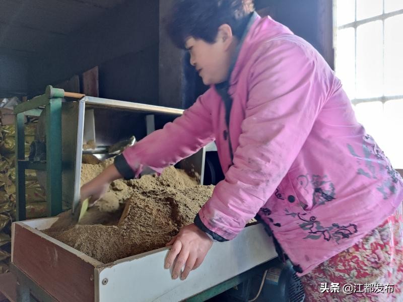 武坚镇温室养殖大户居友宝有本“致富经”——“养甲鱼,要先养水!”