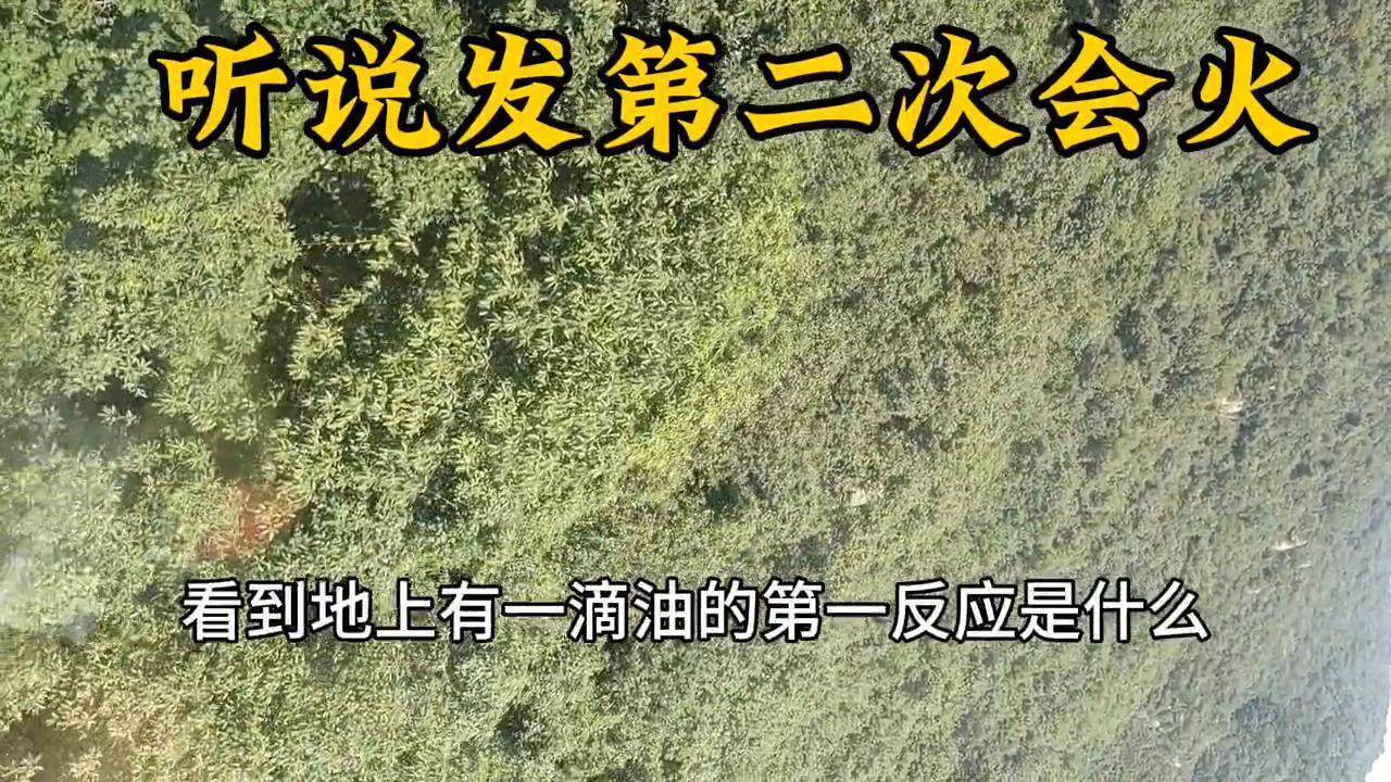 山清水秀自然美旗舰店直播,平塘风景区旅游自驾攻略