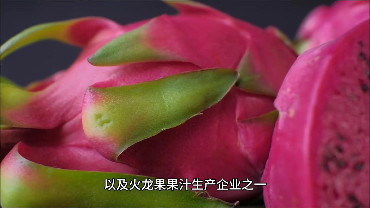 诺丽酵素代工,诺丽果酵素贴牌